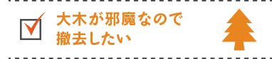 大木が邪魔なので撤去したい